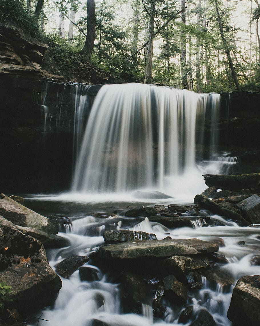 waterfalls surrounded by green leaf trees, waterfalls surrounded with trees HD wallpaper