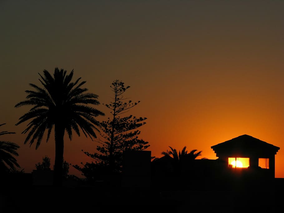 punta del este, sunset, uruguay, silhouette, tropical climate HD wallpaper