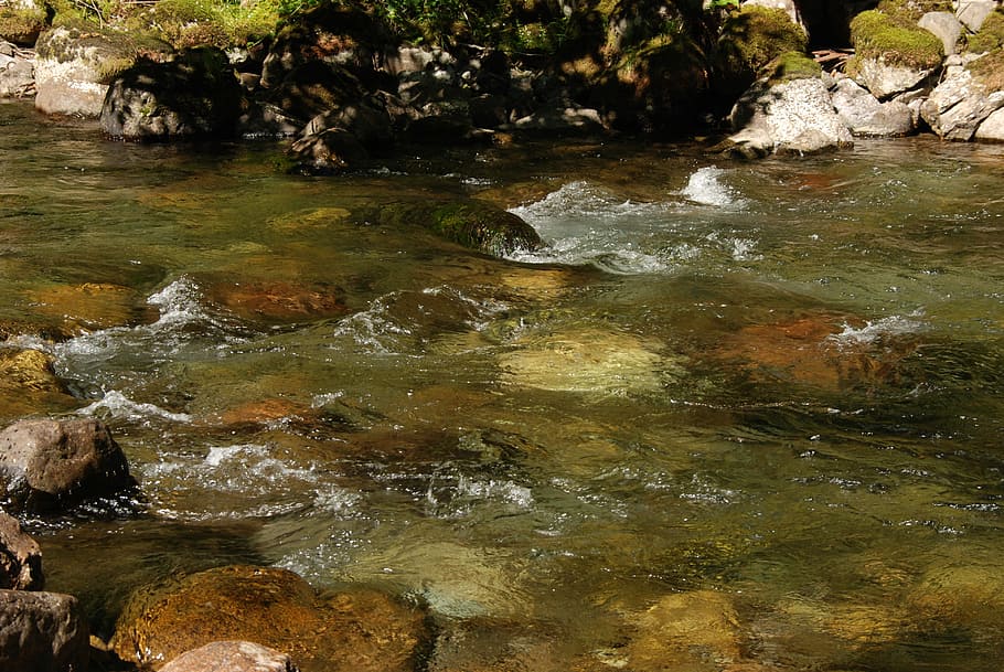 Water, Flow, River, brook, bright, stones, rocks, speed, animals in the wild HD wallpaper