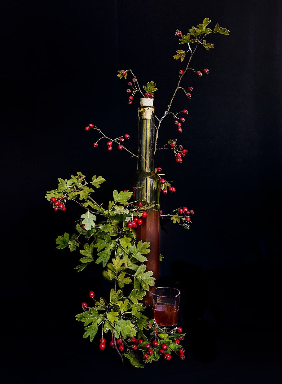 green and red glass bottle, hawthorn, crataegus, berries, liqueur, HD wallpaper