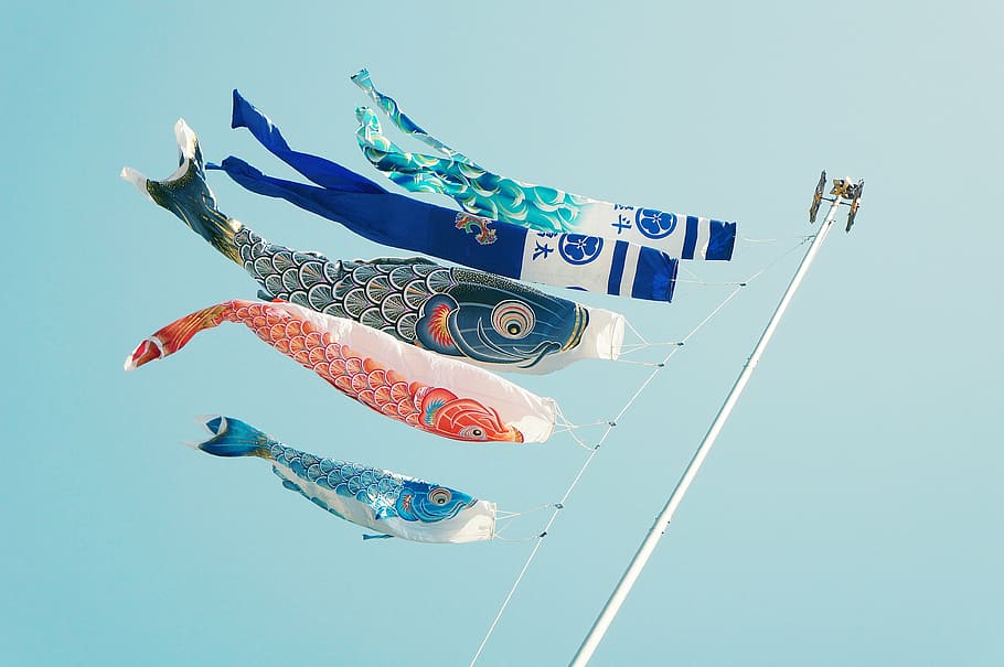 fix koi fish flags on pole, white, blue, orange, decor, still HD wallpaper