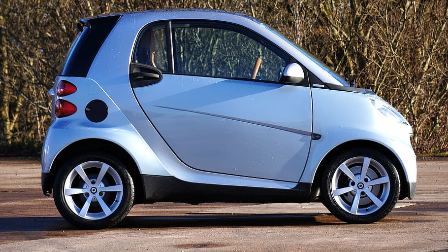 white and black Smart Fortwo parked near brown trees, car, smart car HD wallpaper