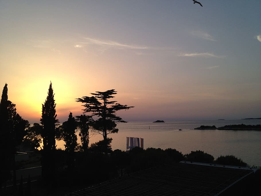 sunset, evening, sea, sky, water, tree, silhouette, scenics - nature HD wallpaper