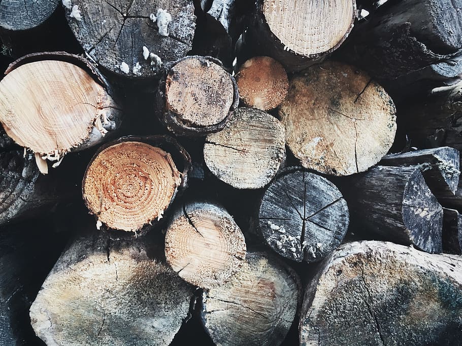 wood, tree, logging, timber, full frame, firewood, lumber industry HD wallpaper