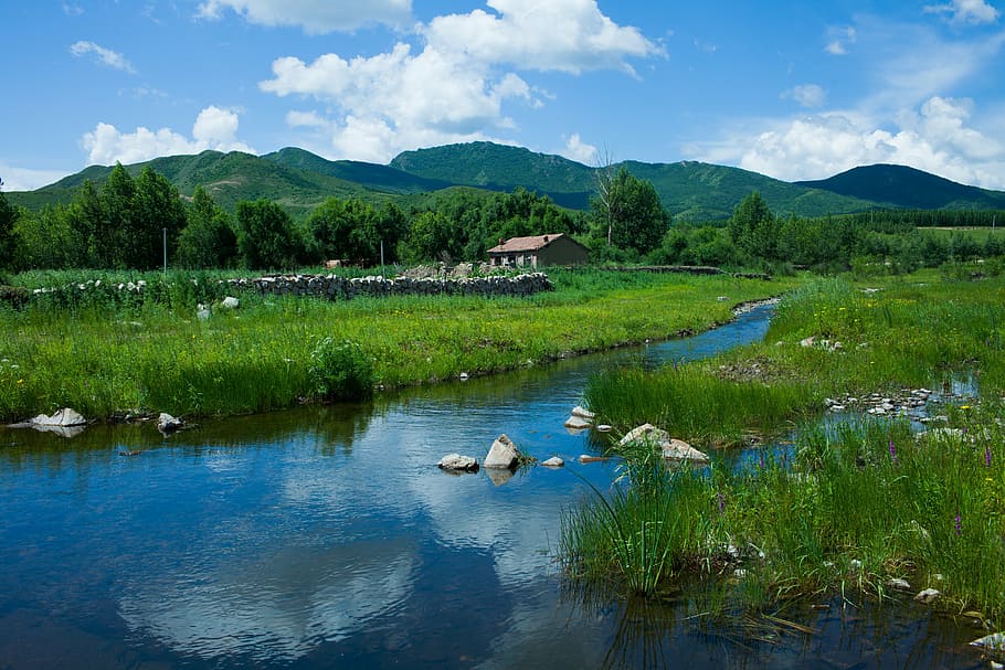 prairie, nature, chifeng, lake, water, summer, outdoors, landscape HD wallpaper