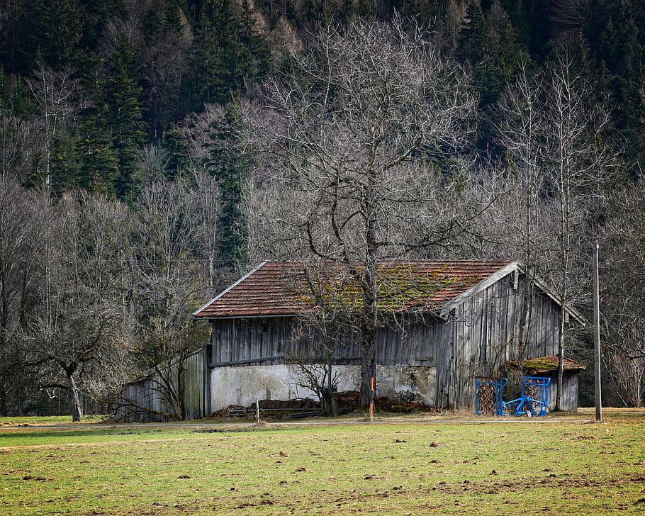 field barn, nature, meadow, hut, old, agriculture, scale, tile roof HD wallpaper