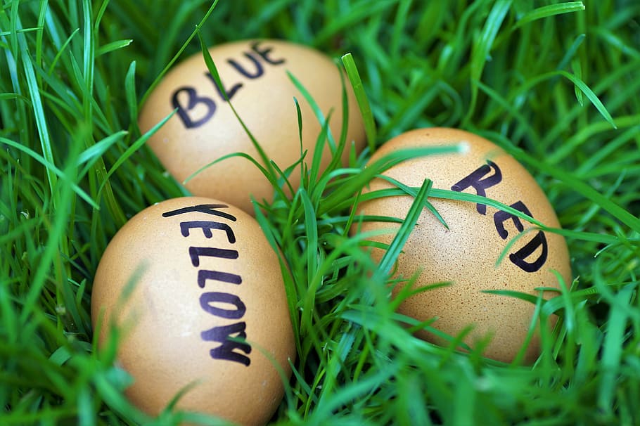 easter, eggs, easter eggs, joke, color eggs, easter time, spring HD wallpaper