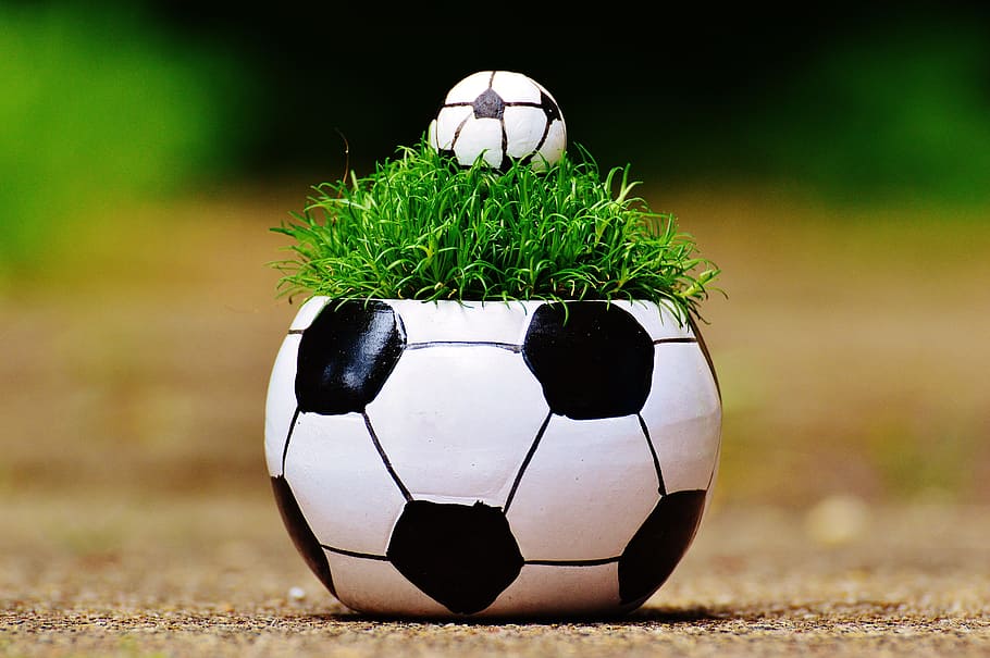 European Championship, Football, 2016, grass, france, tournament