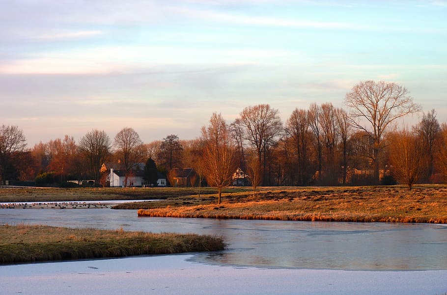 ice, winter, sunset, zing, frost, tree, reed, house, landscape HD wallpaper
