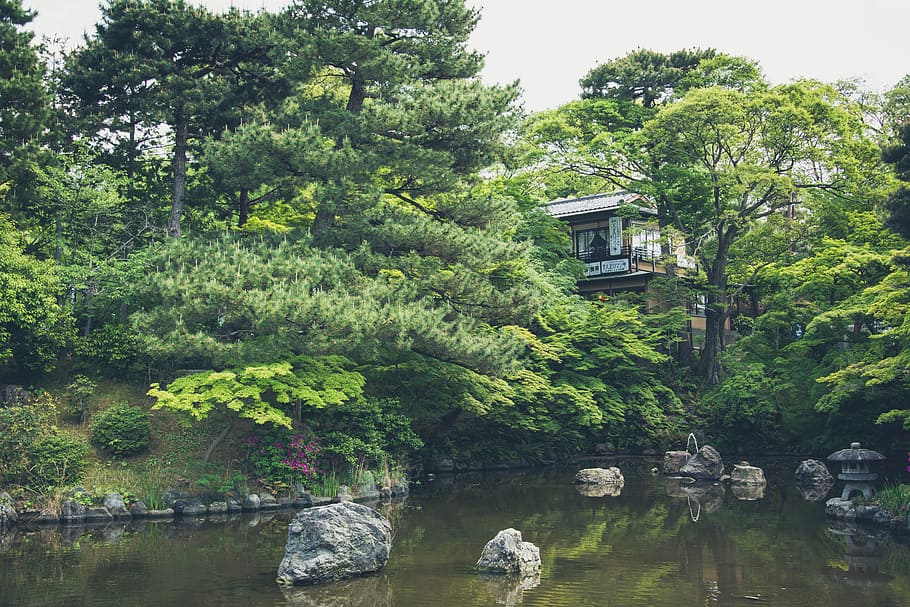 house near trees and body of water, gray rock on body of water HD wallpaper