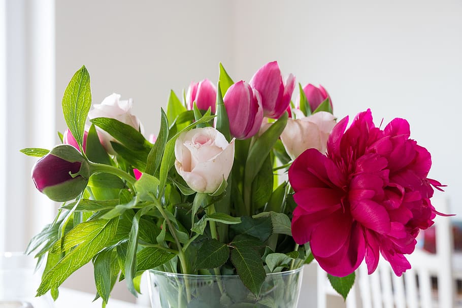 pink and white flowers in clear glass vase, peony, tulips, roses, HD wallpaper