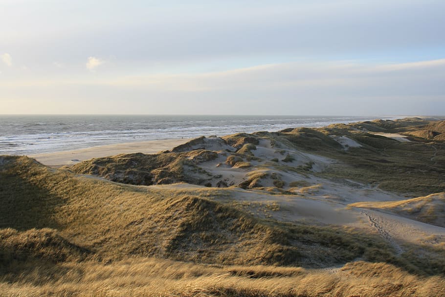 denmark, north sea, dune, sky, water, scenics - nature, beauty in nature HD wallpaper