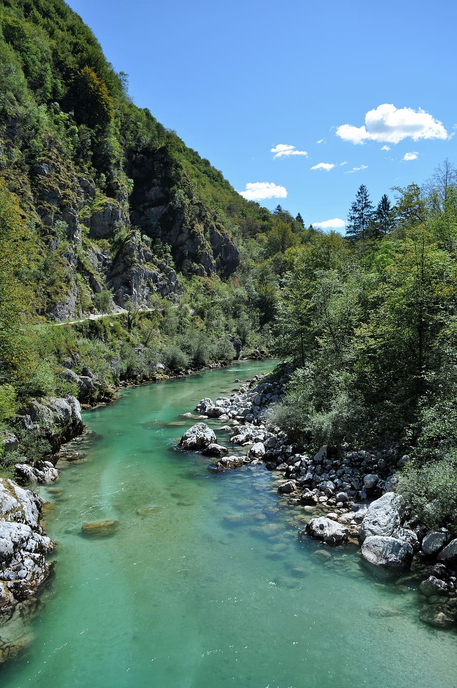 jumbo, slovenia, river, flow, water, plant, beauty in nature HD wallpaper