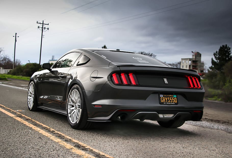 shallow focus photography of black Ford Mustang GT on the road, black car on road HD wallpaper