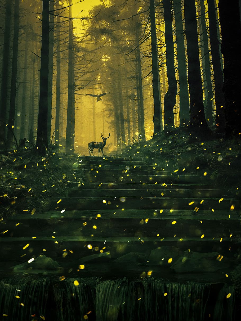 brown deer between trees, light, nature, landscape, outdoors HD wallpaper