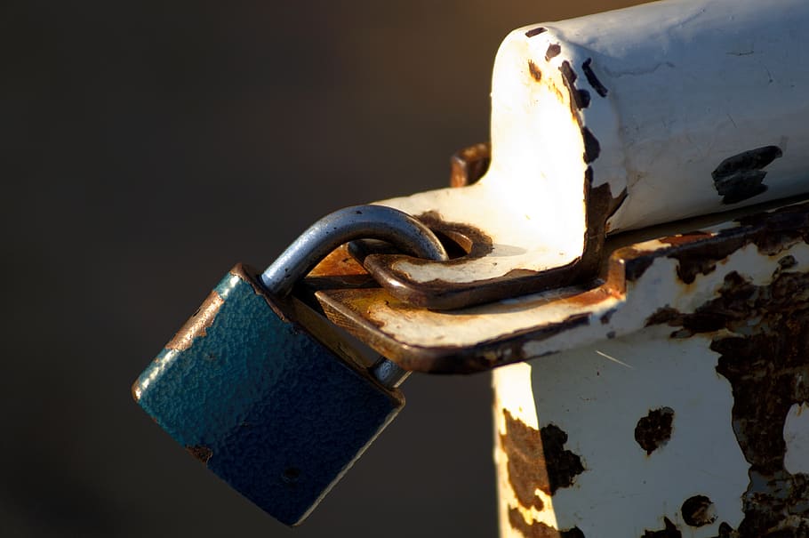 close-up photo of blue padlock, autumn, light, locked, security HD wallpaper