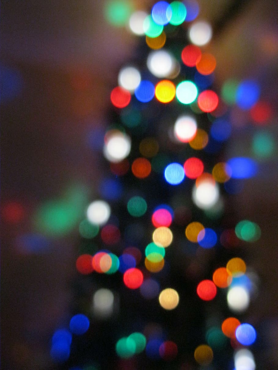 christmas, tree, colors, lights, xmas, conifer, evergreen, christmas tree HD wallpaper