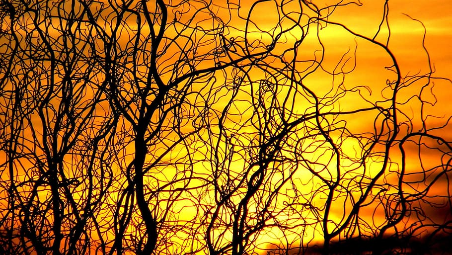 Sunset, Sky, afterglow, abendstimmung, evening sky, nature HD wallpaper