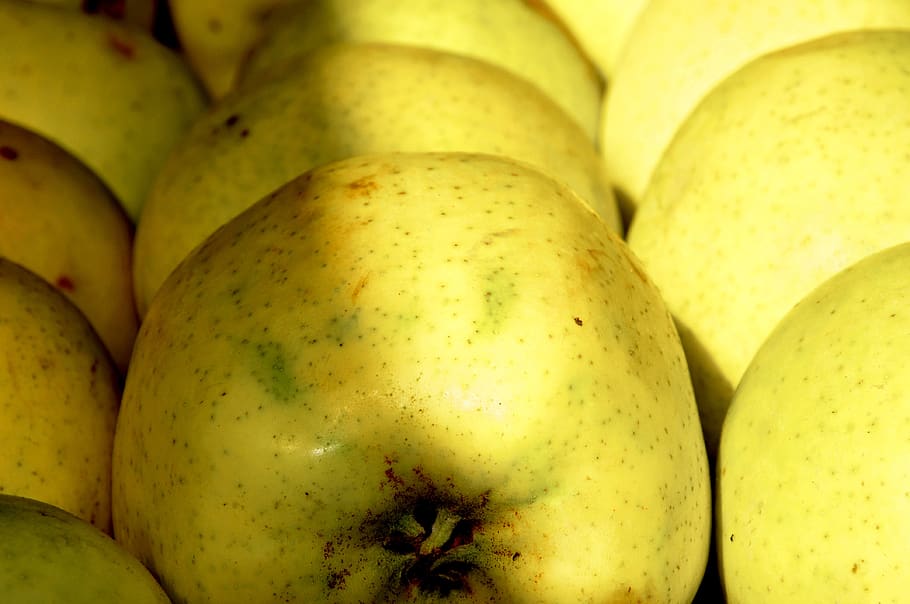 apple, fruit, food, food and drink, healthy eating, wellbeing HD wallpaper