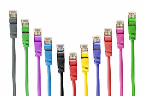 assorted-color cables, network connector, network cables, patch HD wallpaper