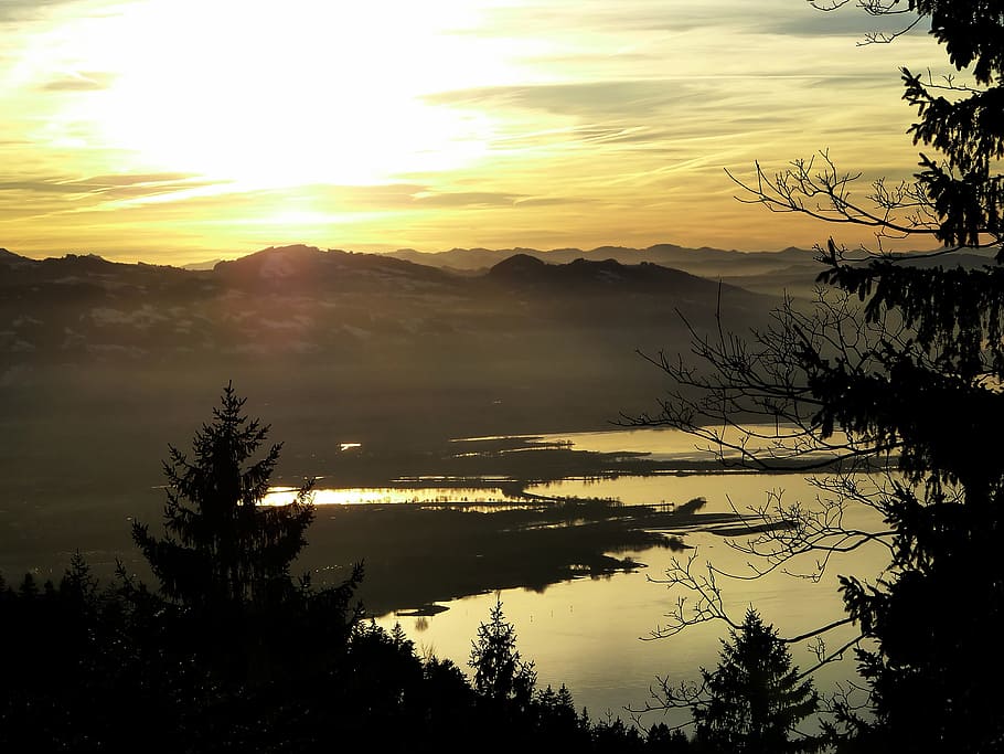 lake constance, bregenz, sunset, tree, mountains, forest, branches HD wallpaper