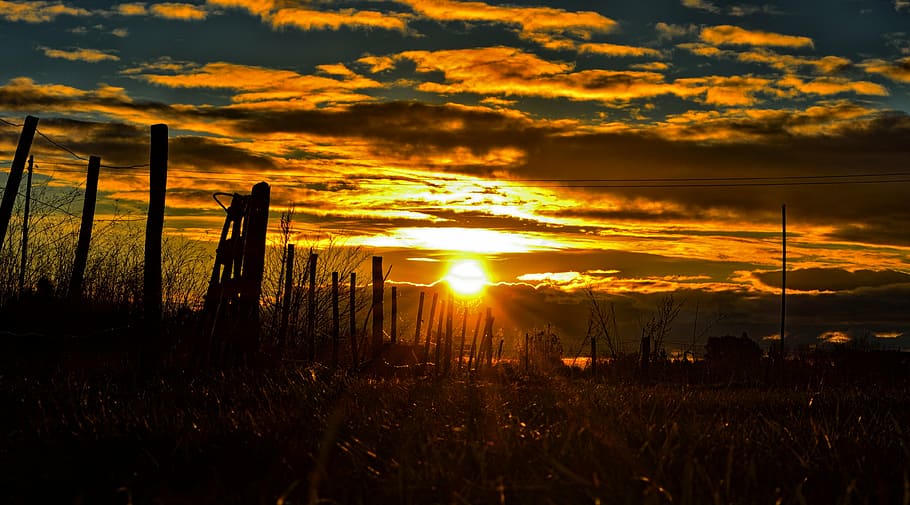 gate, sunset, landscape, field, nature, tranquility, tranquil scene HD wallpaper