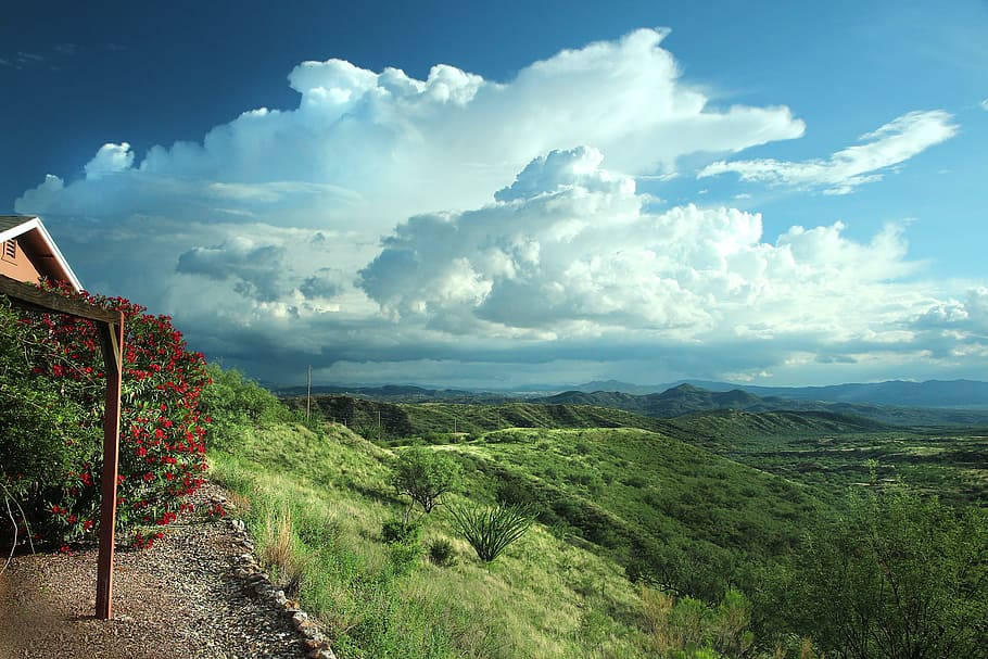 View of Green Grass Field, cloud, countryside, daylight, hill HD wallpaper