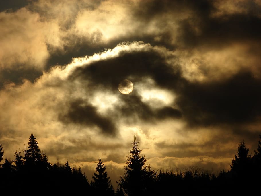 sunrise, trees, clouds, sky, beauty in nature, moon, cloud - sky HD wallpaper