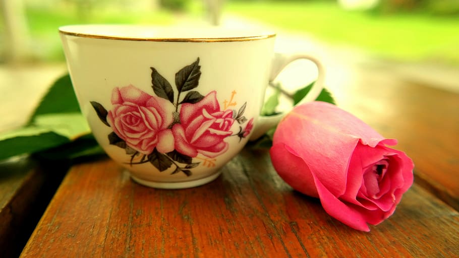 white and pink floral ceramic teacup beside pink rose, blossom, HD wallpaper