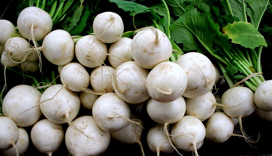 root, vegetable, white turnip, turnips, roots, raw, fresh, crisp HD wallpaper