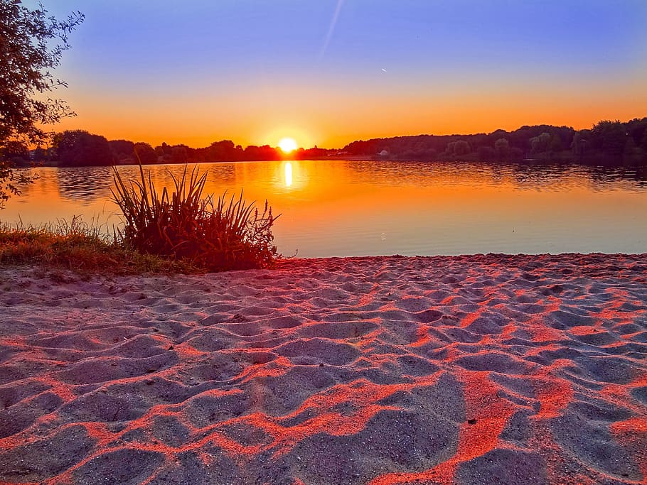 body of water near green plants during golden hour, sunset HD wallpaper
