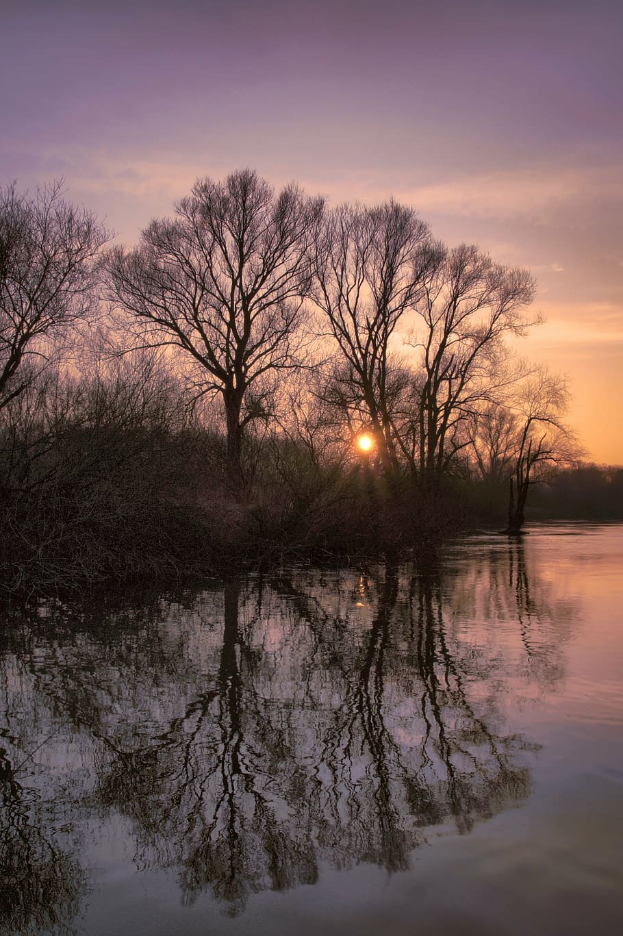 river, water, lip, trees, sunset, atmospheric, flow, river landscape HD wallpaper