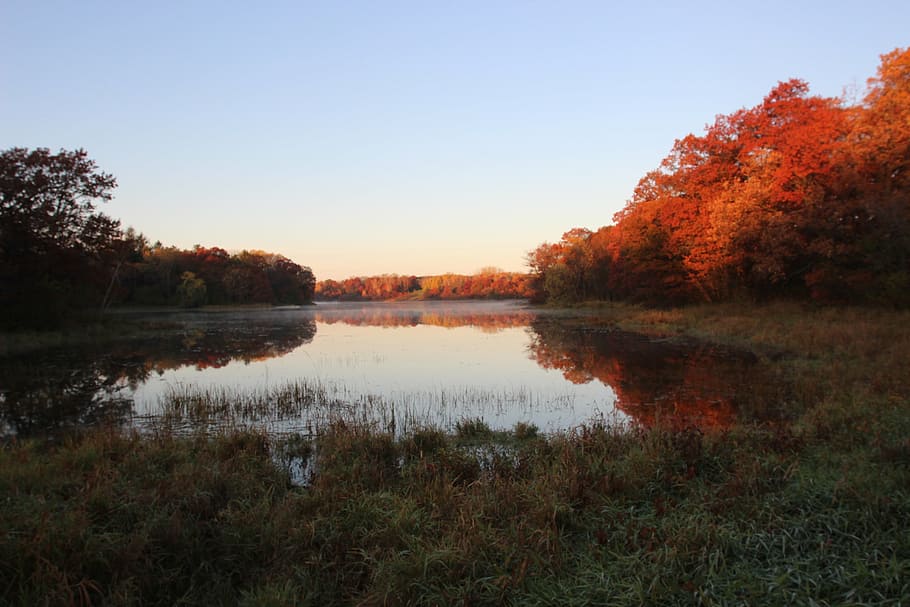 fall color, lake, ref, autumn, nature, water, landscape, scenery HD wallpaper
