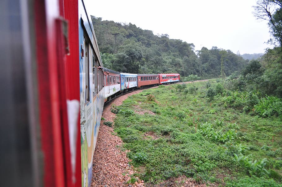 train, rails, estrada de ferro, rail transportation, train - vehicle, HD wallpaper