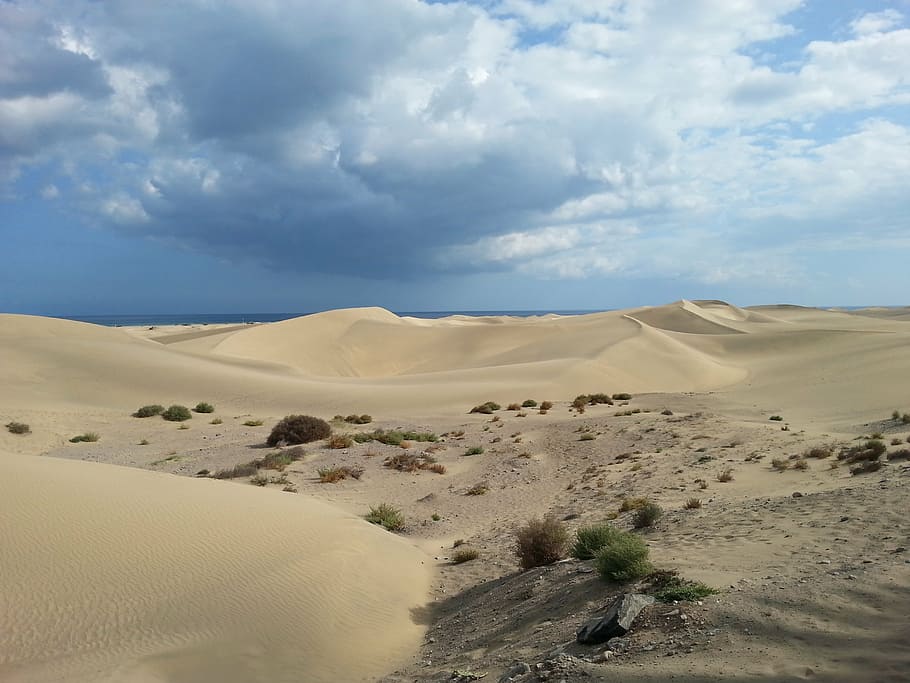 dunes, maspalomas, gran canaria, desert, sand Dune, nature
