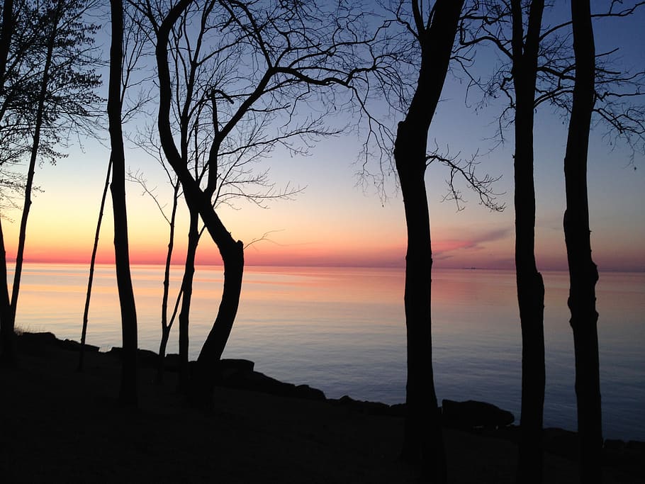 sunset, spring, nature, evening sky, riverside, sea, lake, forest HD wallpaper