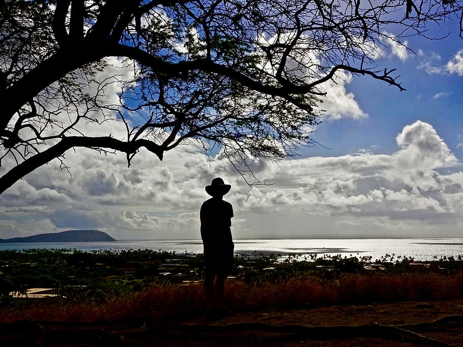 silhouette, view, sky, clouds, distant, sea, sunlight, landscape HD wallpaper