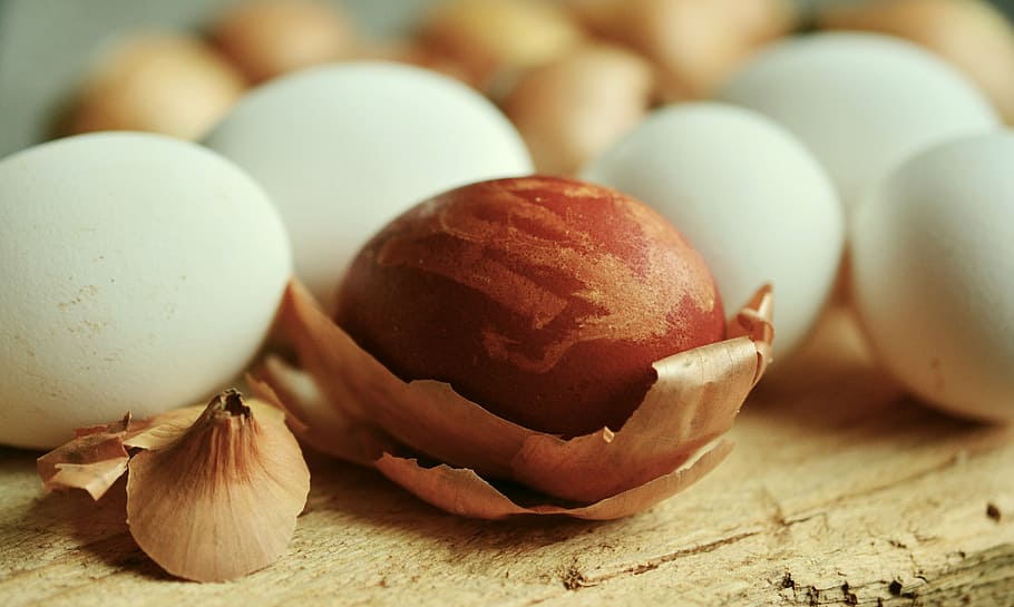 brown egg on brown wood shavings on brown surface, easter egg HD wallpaper