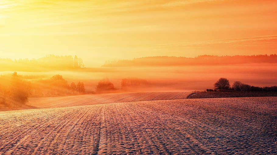 sunlight over field, snow, landscape, winter, nature, wintry HD wallpaper