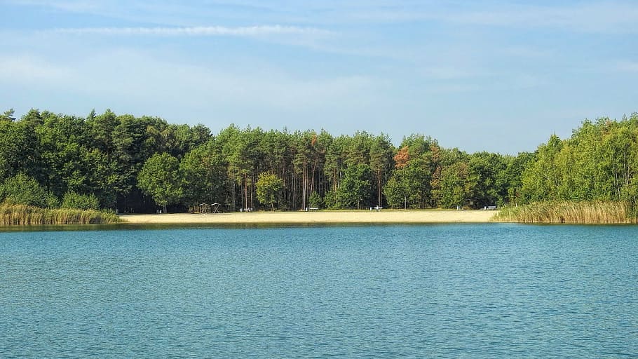landscape, lake, forest, trees, beach, sky, blue sky, nature HD wallpaper