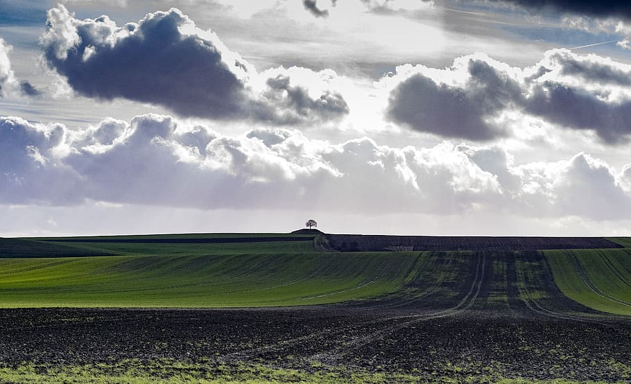 field, fields, agriculture, landscape, green, nature, clouds HD wallpaper