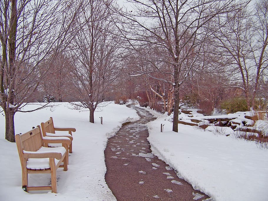 Sidewalk, Bench, Snow, Ice, Winter, trees, cold temperature HD wallpaper