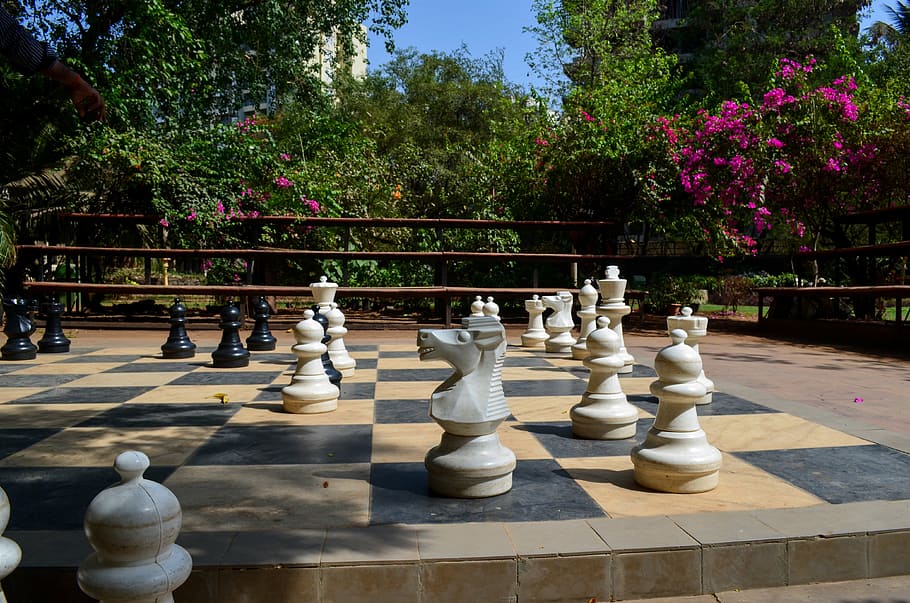 Nature Wallpaper in Hyderabad – tagged chess – Avikalp