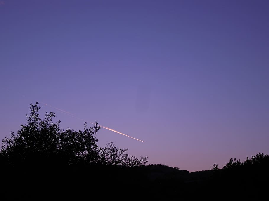 Contrails, Trees, Silhouette, park, sky, sunset, california HD wallpaper