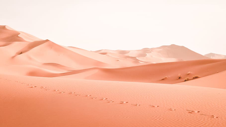 landscape photography of dessert, footsteps traced on desert, HD wallpaper