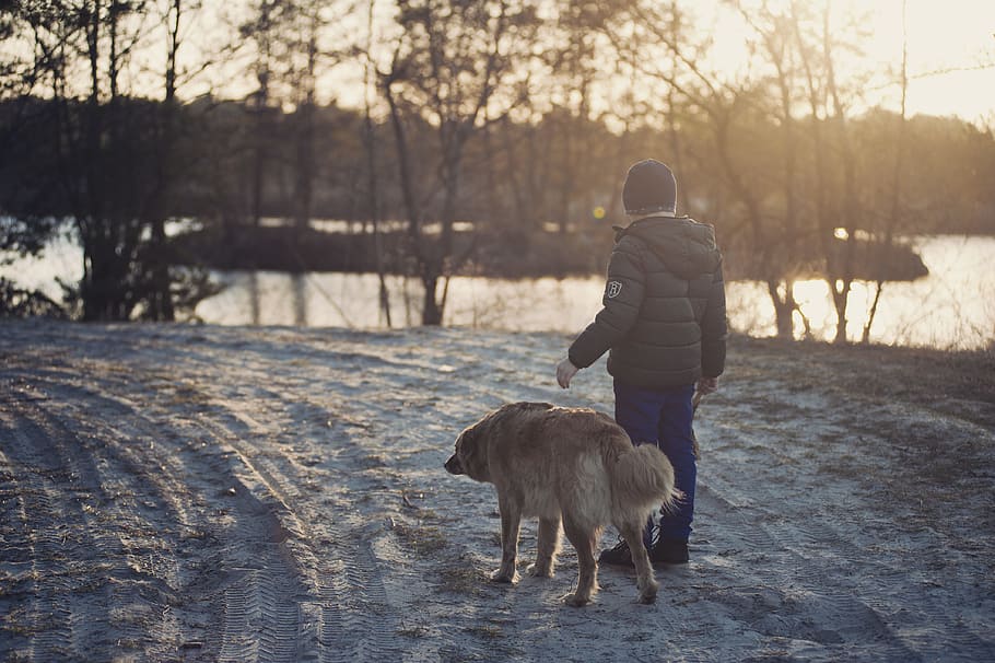 cold, snow, road, sunset, boy, child, dog, frost, kid, lake, morning HD wallpaper