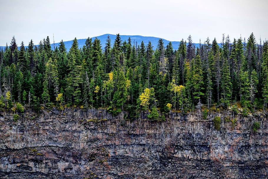 mountains, cliff, trees, forest, woods, landscape, nature, sky HD wallpaper