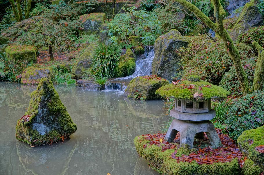 Japanese, Garden, Fall, Portland, Oregon, nature, meditation, HD wallpaper