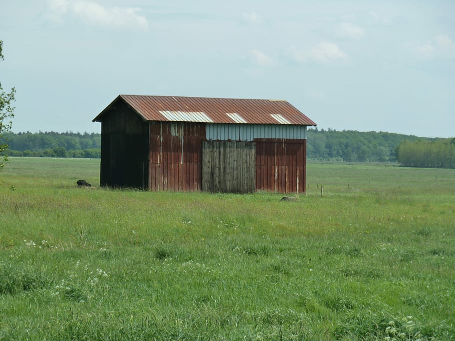 Barn, Grass, Meadow, Nature, summer, field, sky, landscape HD wallpaper