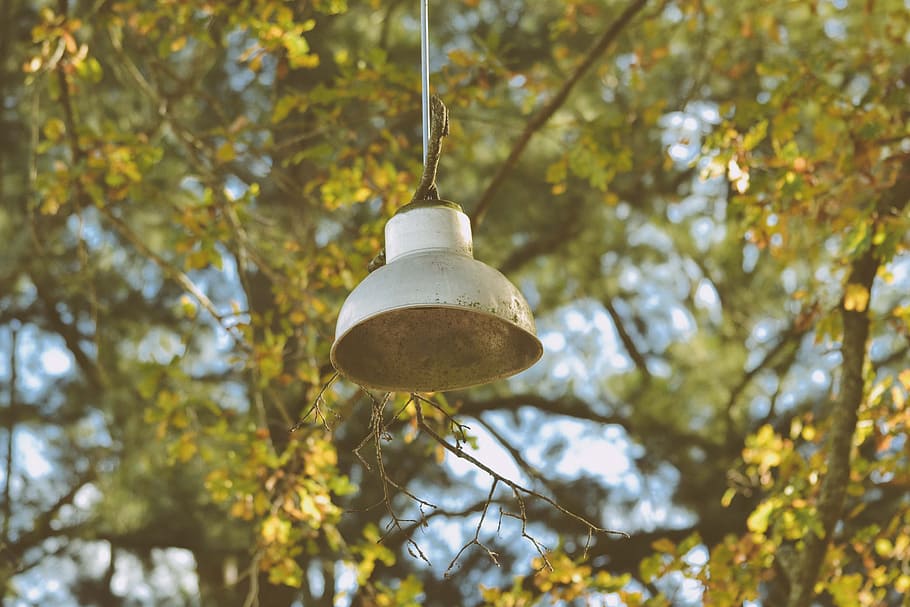 shallow focus photo of white street lamp, pendant lamp outdoor during daytime HD wallpaper